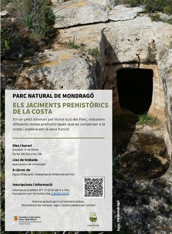 activitatmondrago14febrer