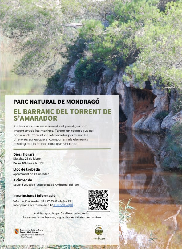 activitatmondrago21febrer