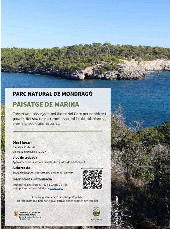 activitatmondragoabril