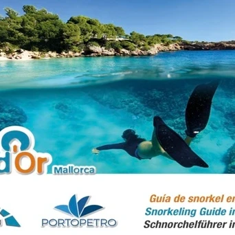 Guía de Snorkel en Santanyí