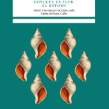 5 Presentació Espigues en flor