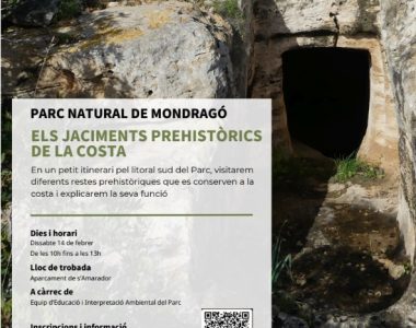 activitatmondrago14febrer