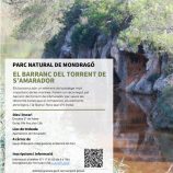 activitatmondrago21febrer