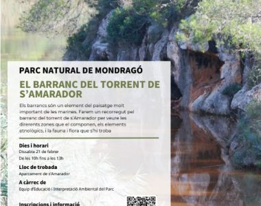 activitatmondrago21febrer