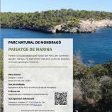 activitatmondragoabril