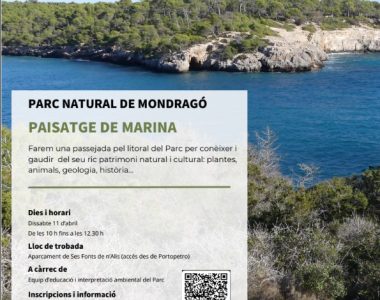 activitatmondragoabril