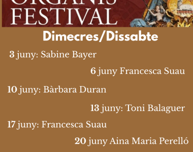 plenum juny